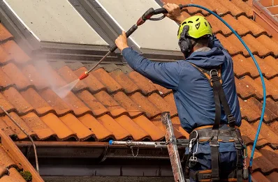 Démoussage et hydrofuge de toiture à Trévillach